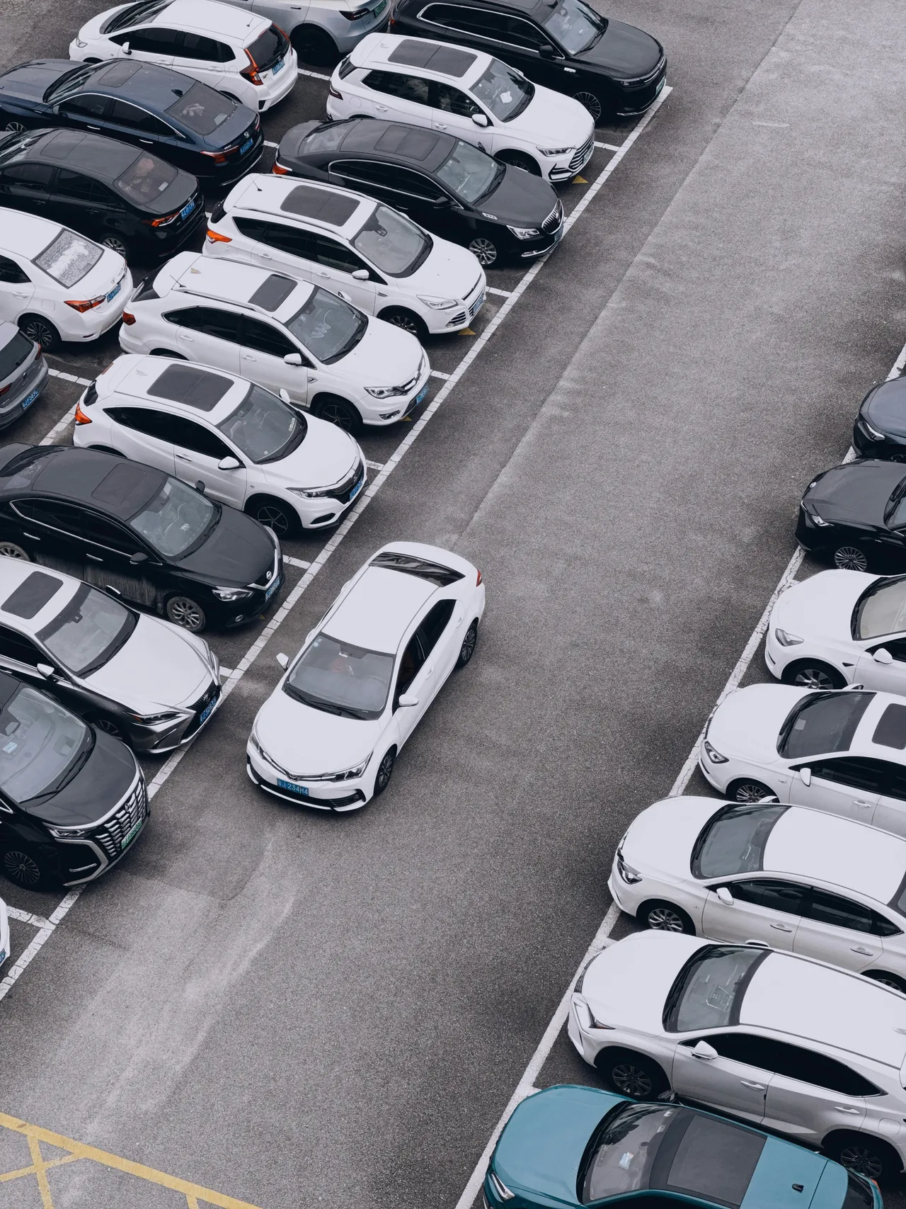 Government Fleets